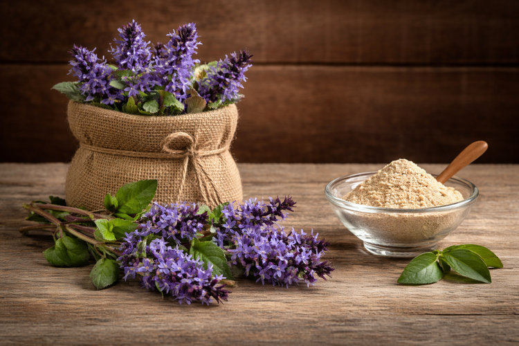 Ajuga Turkestanica Extract (250mg)