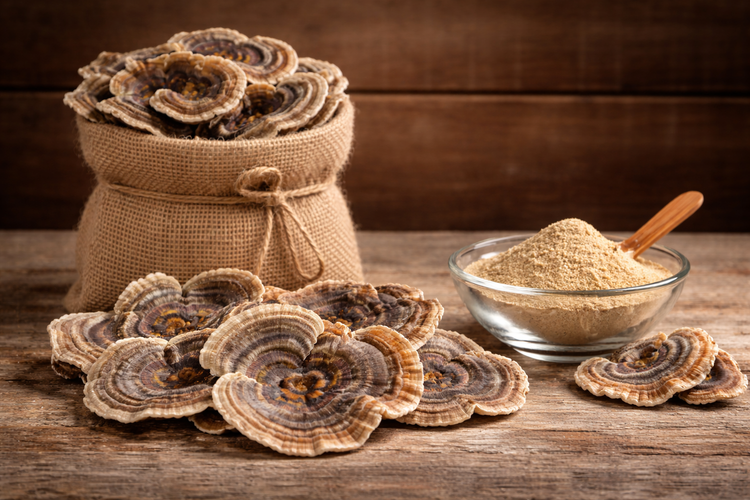 Trametes Versicolor Extract (250mg)