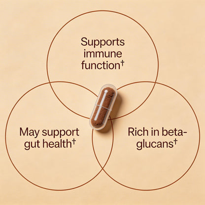 Turkey Tail Mushroom Extract Capsules