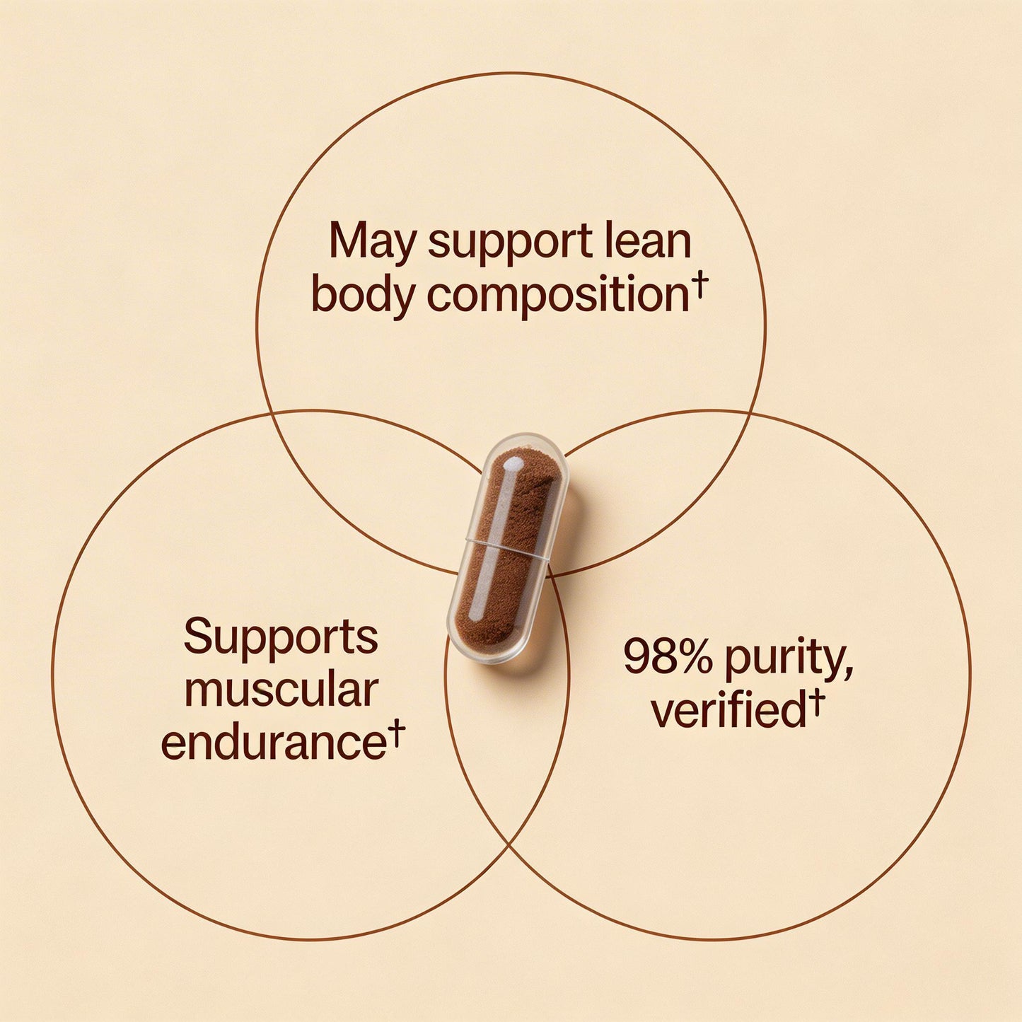 Beta Ecdysterone Extract Capsules