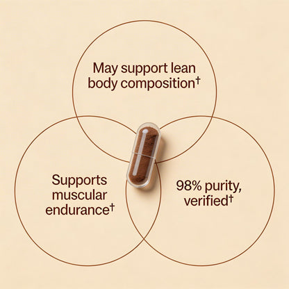 Beta Ecdysterone Extract Capsules