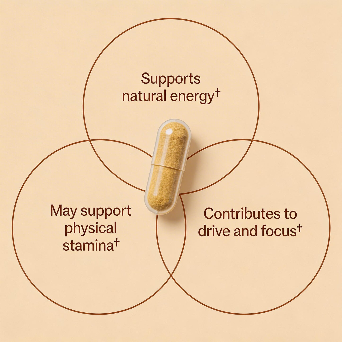 Tongkat Ali Extract Capsules