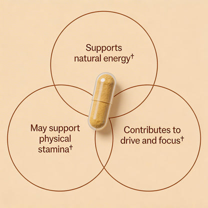 Tongkat Ali Extract Capsules