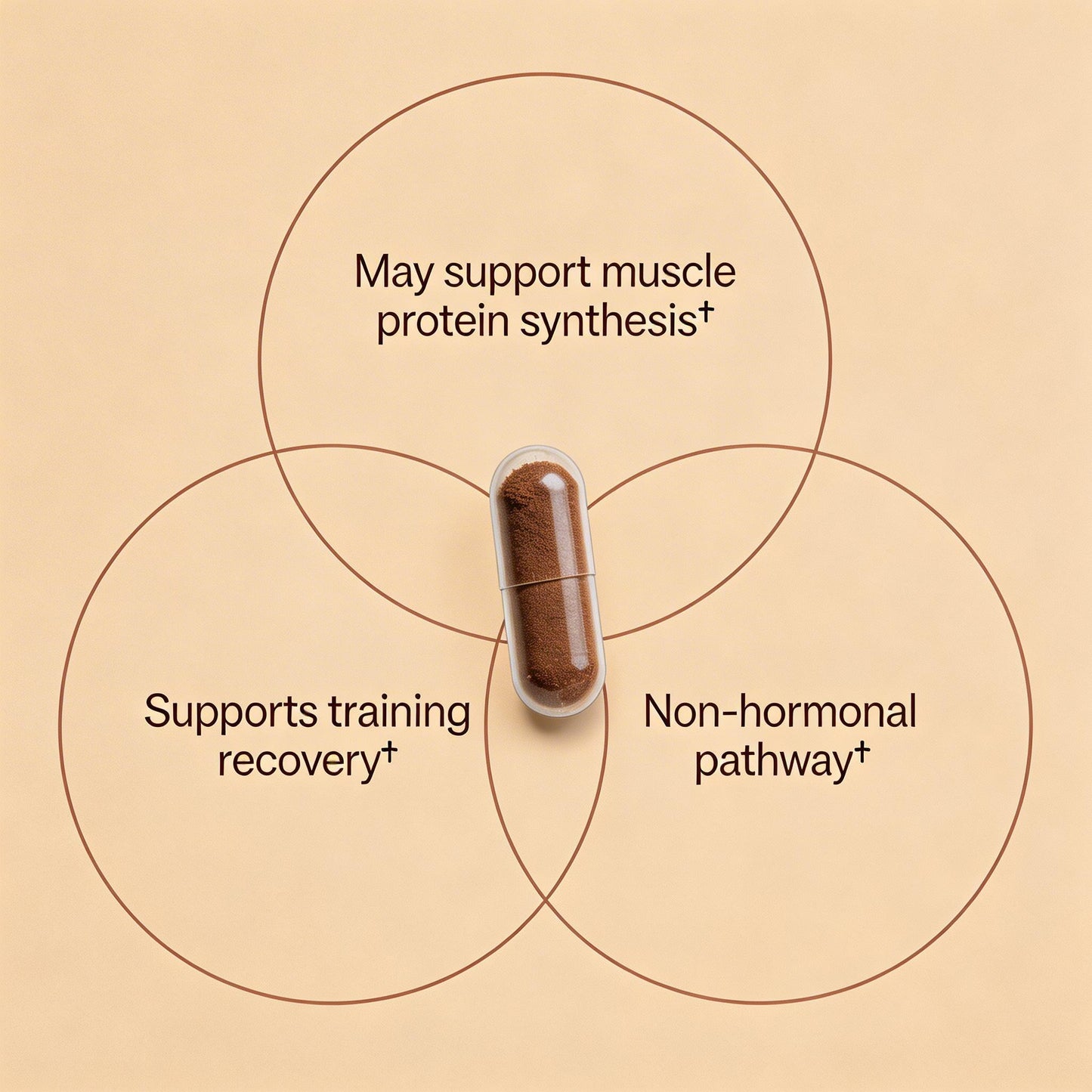 Turkesterone Extract Capsules